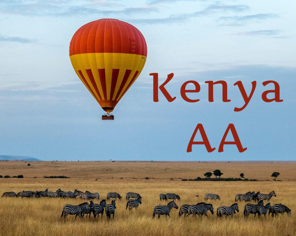Kenyan AA
